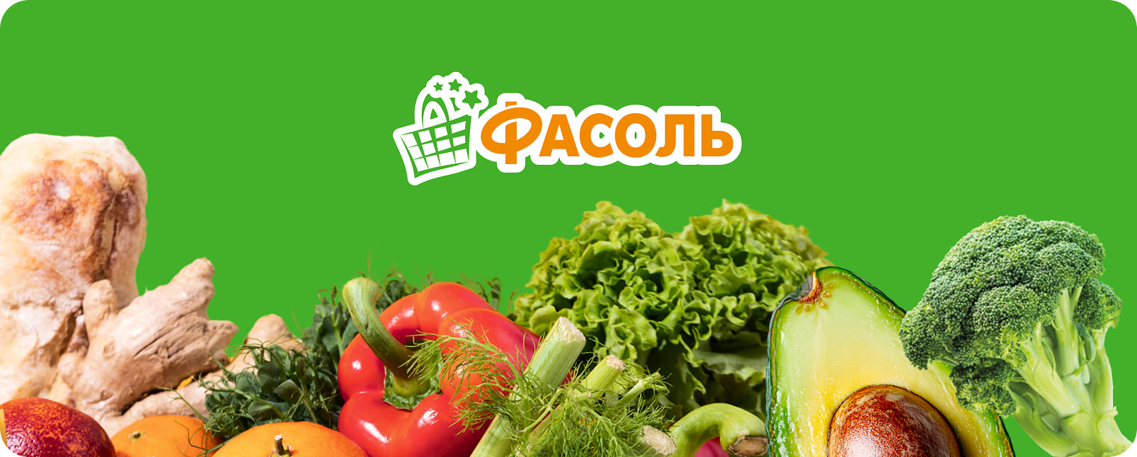 Фасоль
